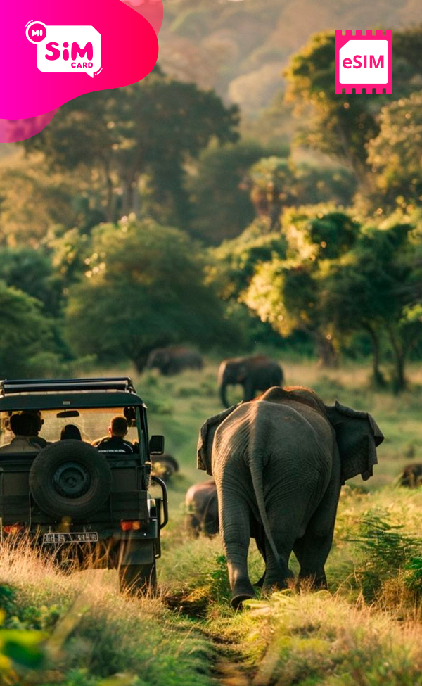 eSIM con datos ilimitados para Sri Lanka