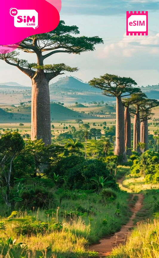 eSIM con datos ilimitados para Madagascar